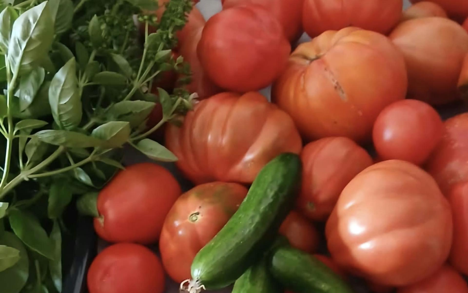 Ernteerfolg Tomaten, Gurken