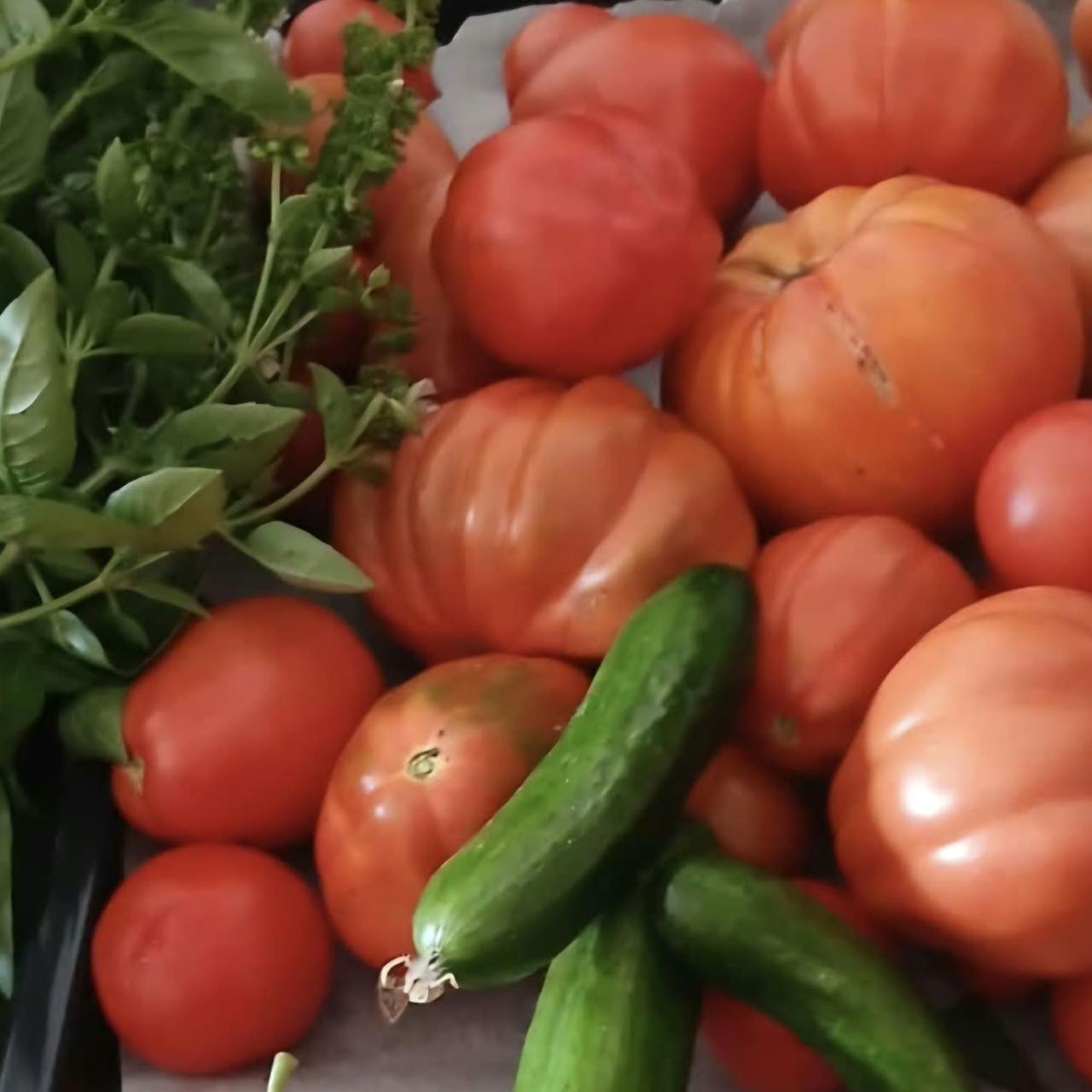 Ernteerfolg Tomaten, Gurken